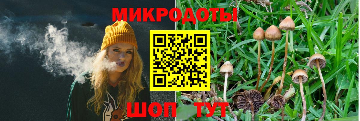 Псилоцибиновые грибы Magic Shrooms  Вход с VPN  Ачинск 